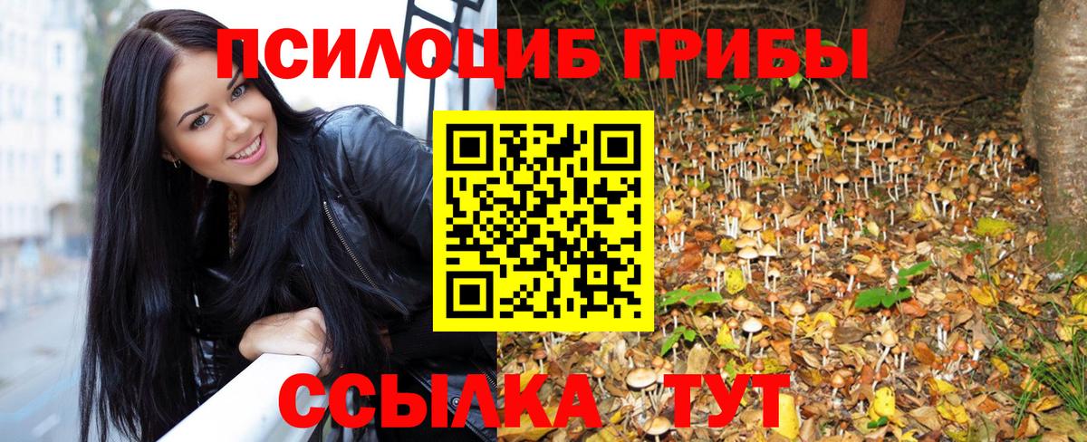 где найти наркотики  Псилоцибиновые грибы Psilocybe  Вход с VPN  Ярославль  Галлюциногенные грибы MAGIC MUSHROOMS 