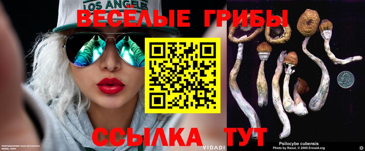 Псилоцибиновые грибы MAGIC MUSHROOMS Ярославль